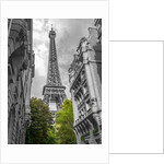 Eiffel Tower, Paris by Assaf Frank